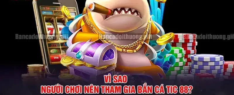 Giao diện và Trải nghiệm người dùng trên TIC88