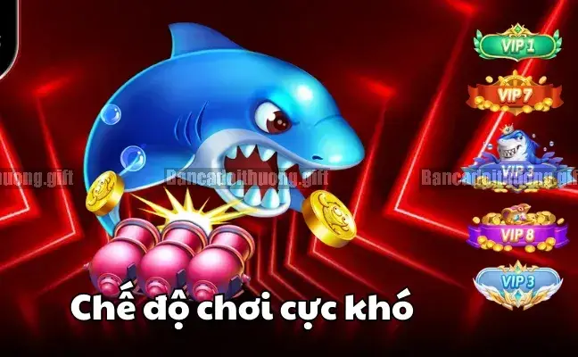 Cách chọn chế độ chơi bắn cá đổi thưởng phù hợp 4 Chế độ chơi nâng cao – dành cho người chơi có kinh nghiệm