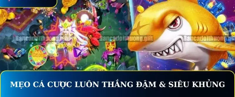 Mẹo Bắn Cá Xèng Đổi Thưởng Với Những Chiến Thuật Hay 4 Áp Dụng Các Hiệu Ứng Trong Game Bắn Cá