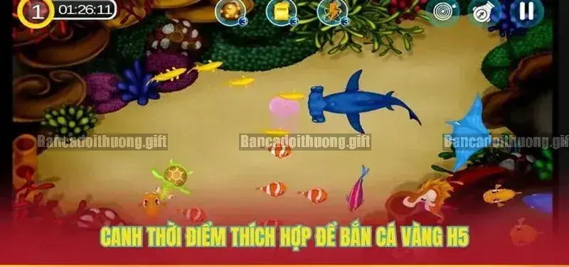 Thời điểm vàng để bắn cá trong game bắn cá đổi thưởng 3 Tâm lý và chiến thuật cá nhân